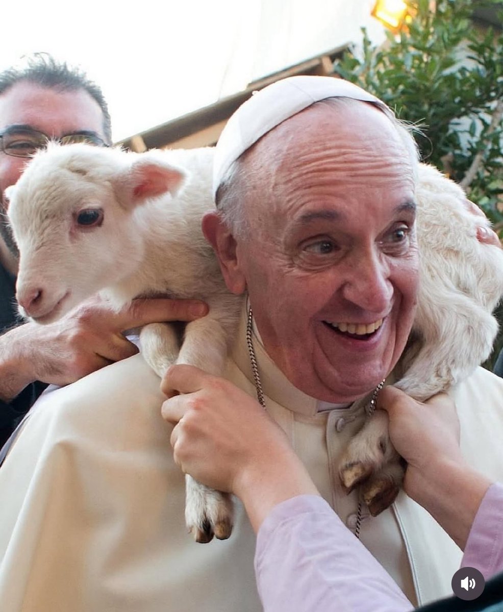 andrscoronel's tweet image. Murió el Papa de los ateos, de los gays, de las lesbianas, de los pobres,
de los migrantes, de los presos, de los excluidos, de los adictos, de las madres solteras, de los rebeldes, de los revolucionarios, de los que abrazan sin juicio, de los que rezan en silencio, de los que…