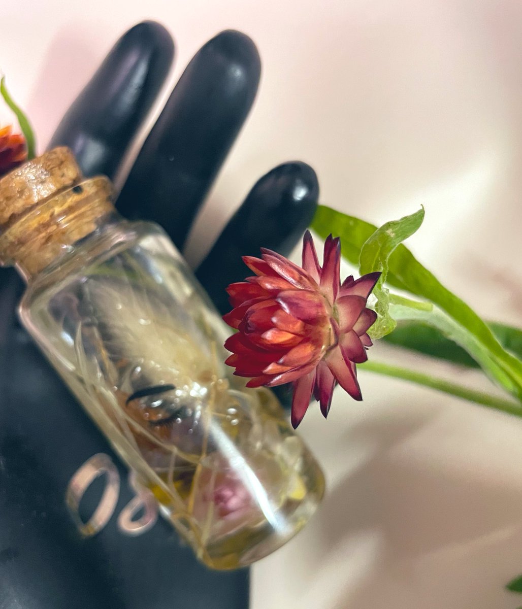 Oph_the_H's tweet image. あなたに会えた時の喜びを
なんと表現すれば良いのでしょうか

#Lostinthepages
#Unseenyou
#venusofTOKYO 
#魔女からの贈り物