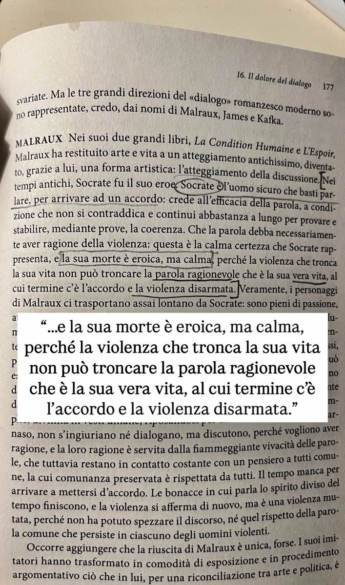 #papafrancesco