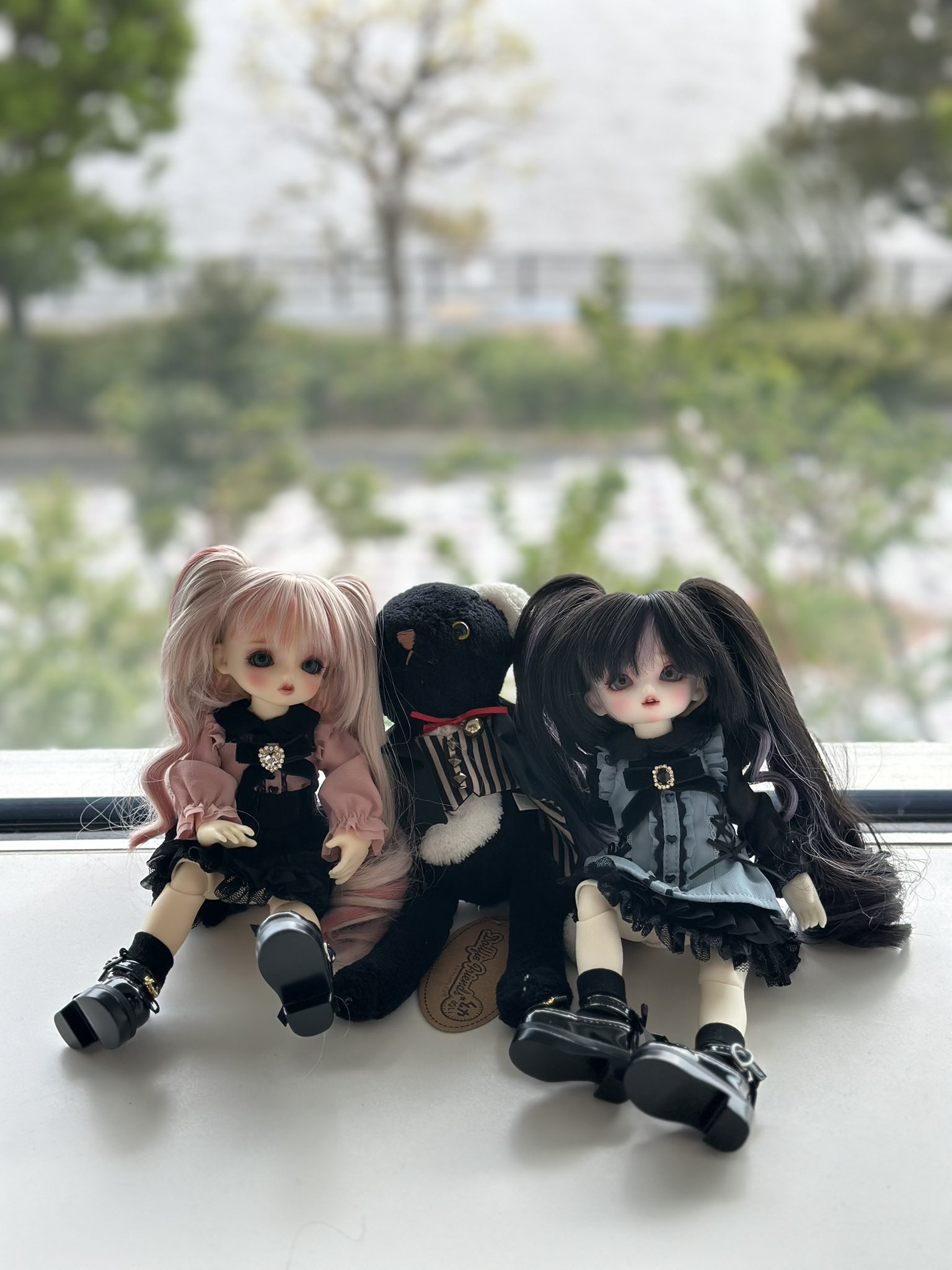 Petworks Store Global | ”CCS 25SS momoko” to be released in