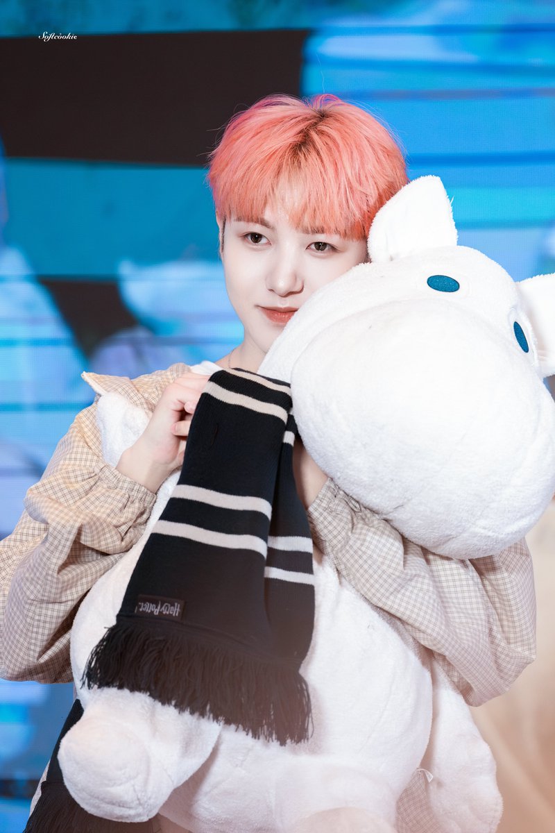 Softcookiee tweet media