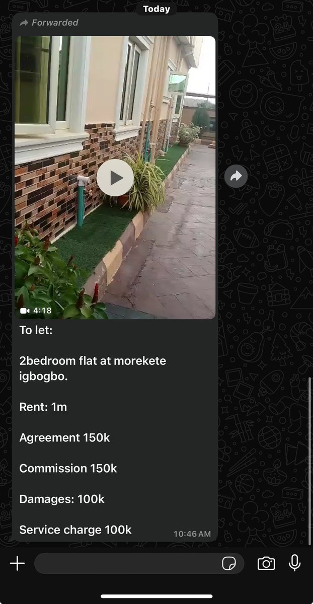 O'fela tweet media