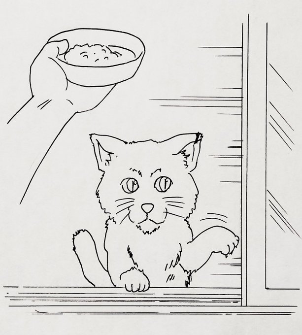 ご飯貰いに来た地域猫に餌を出す時窓を開けると
猫も前足で窓を開くみたいに見える仕草するようになりました 