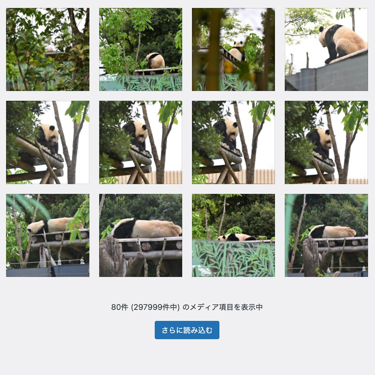 2011年8月14日からブログを始めて今日でブログ記事連続5000日になりました。（休園日約600日、臨時休園約350日、コロナ期間の移動自粛日等を含む）これまでにアップした写真は総数297999枚。（誤差あり）
みなさま長年お付き合いいただきありがとうございます。今後ともよろしくお願いいたします！