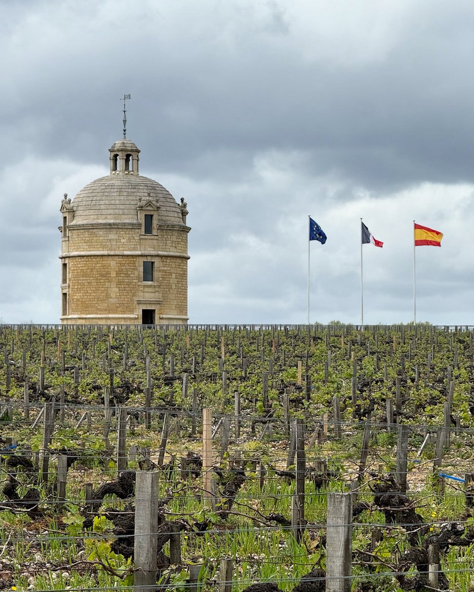 Château Latour 2016: una botella excepcional que formará parte de sus añadas de leyenda. El château la presenta por primera vez, y el próximo mes de junio la ofreceremos en nuestra tradicional preventa de los vinos de la propiedad.