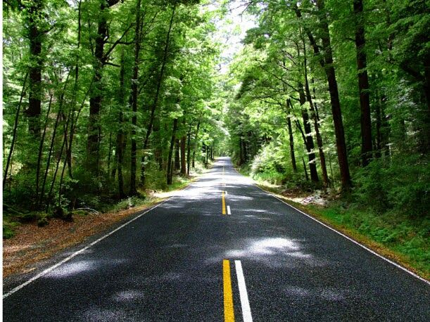 RamiroLeroyDiaz's tweet photo. #RPSP Gén5
-Adán: primer hombre
-Set: sustituto de Abel
-Enoc: el que camino con Dios. 
-Matusalén: el hombre más longevo.
-Noé: quien construyó un arca.
Cuando mueras ¿Cómo quieres que te recuerden?
Deja un legado en vida, algo que valga la pena mencionar al recordar tu nombre. https://t.co/jnXEQnLXhU