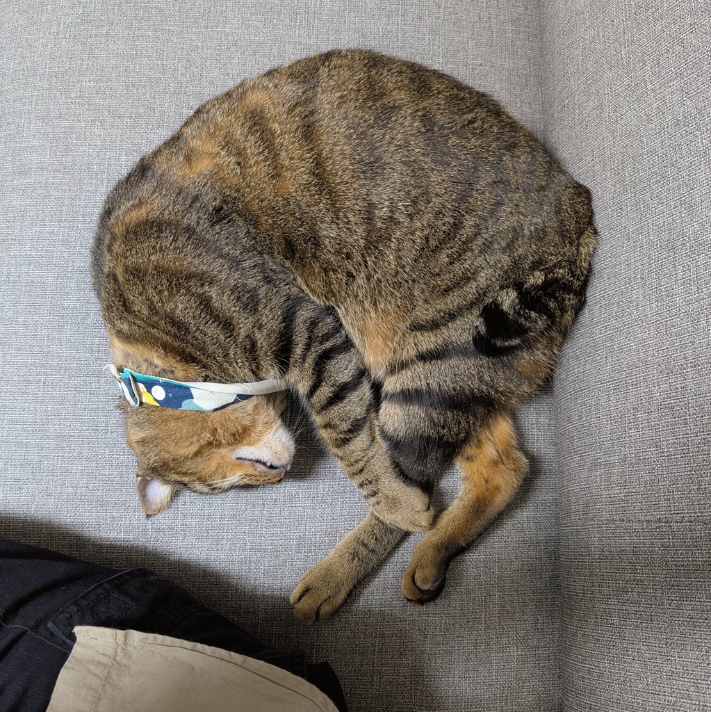 人為什麼要上班 唉