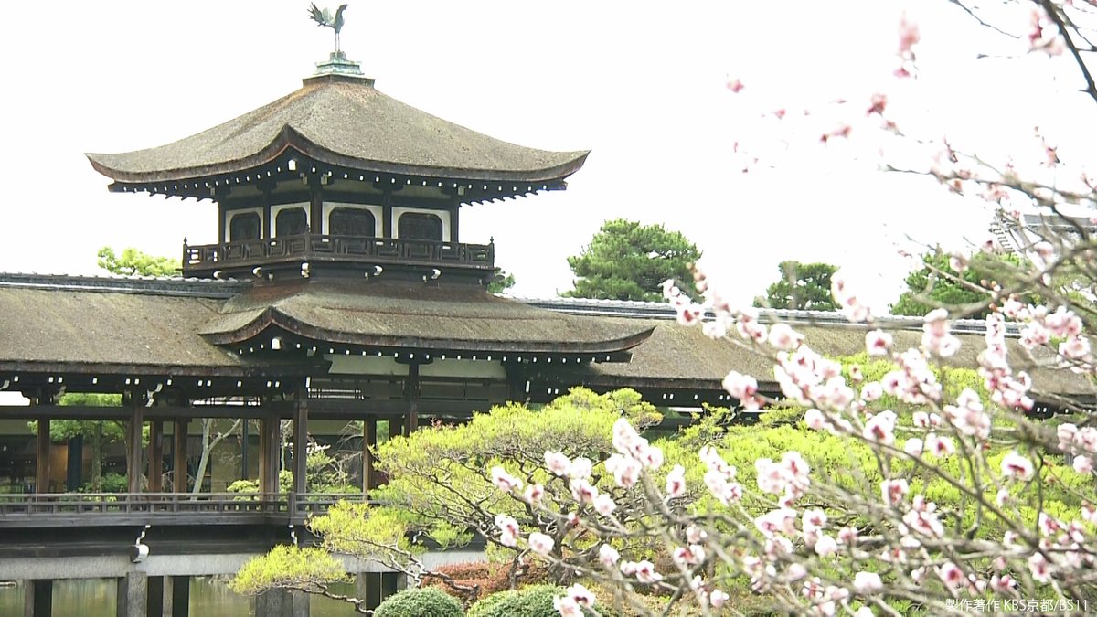 ／
来週放送
＼
「#京都浪漫　悠久の物語」
📺4月28日(月)よる8時

第144回「びわ湖疏水船で春の旅へ、#平安神宮 ・ #圓満院 ・ #近江神宮 」

桜の名所・平安神宮からは、日本最古の電車が伝える歴史、圓満院の三井の名庭、かるたの聖地近江神宮の古代火時計を紹介!

#BS11
📺bs11.jp/education/kyou…