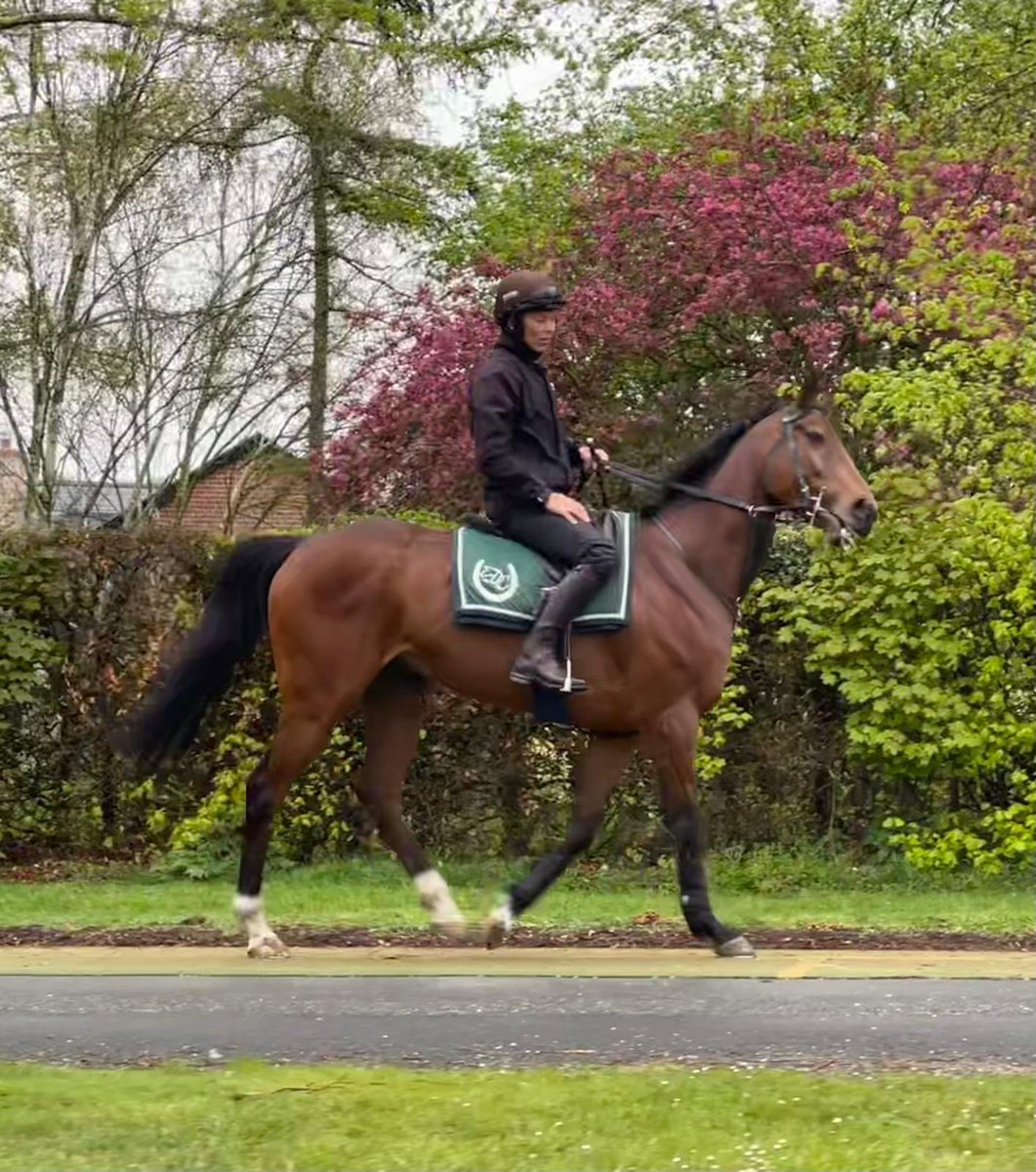 Dylan Cunha Racing LTD tweet media