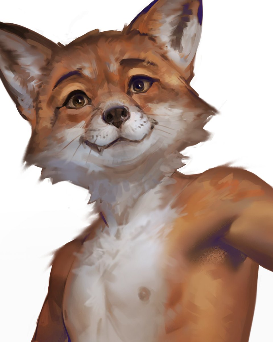 Working on a fox character 🦊 !