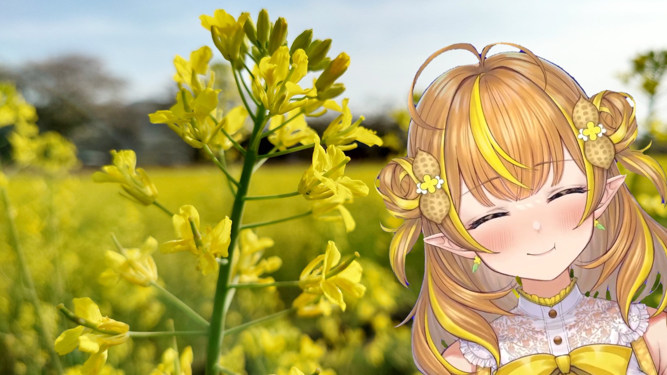 みるむ┊ ࣪⊹ いっぱいのありがとう ࣪⊹ (@369rim) / X みるむ┊ ࣪⊹ いっぱいのありがとう ࣪⊹ (@369rim) / X