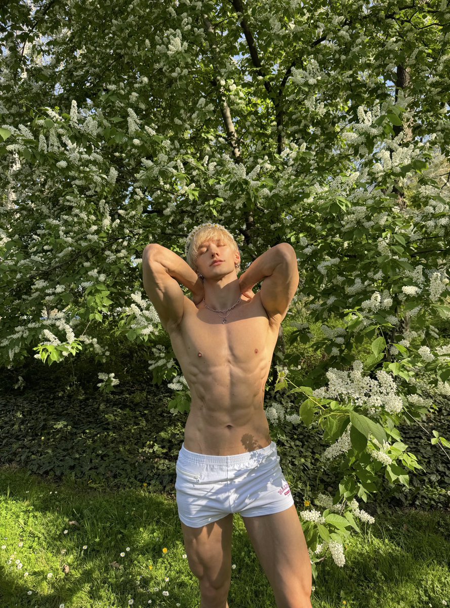 🌸🌼☘️