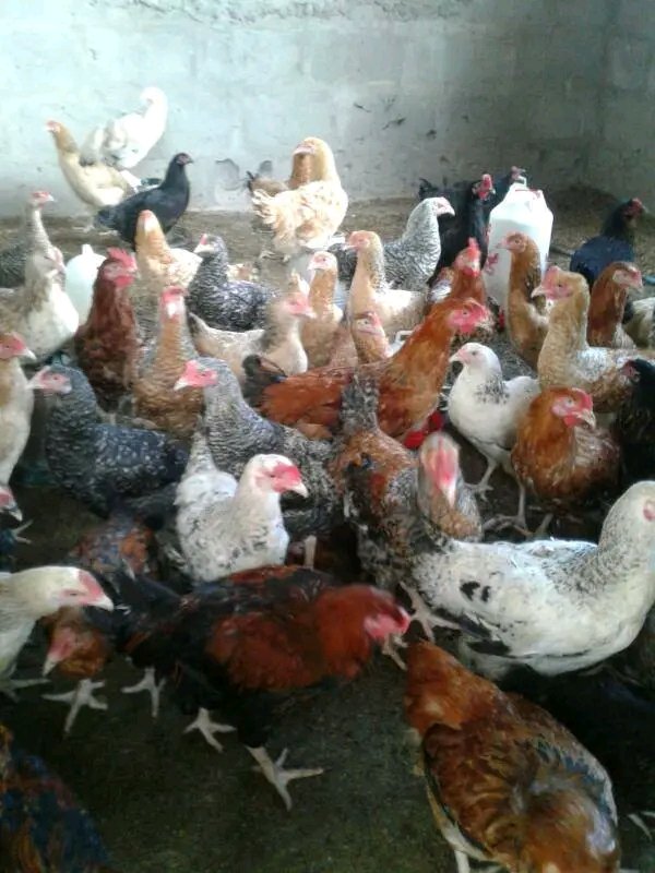 Ulimwengu wa Utajiri ni fumbo kubwa hutekwa na Watu wenye, Nidhamu, Uvumilivu, wasiri, wachapa kazi, wenye nguvu, Wenye msimamo Thabiti na Uthubutu, Ukiona Huna hivyo vyote ujue huwezi kuuteka huo Ulimwengu  utaishia kuusoma utajiri na kuuota tu