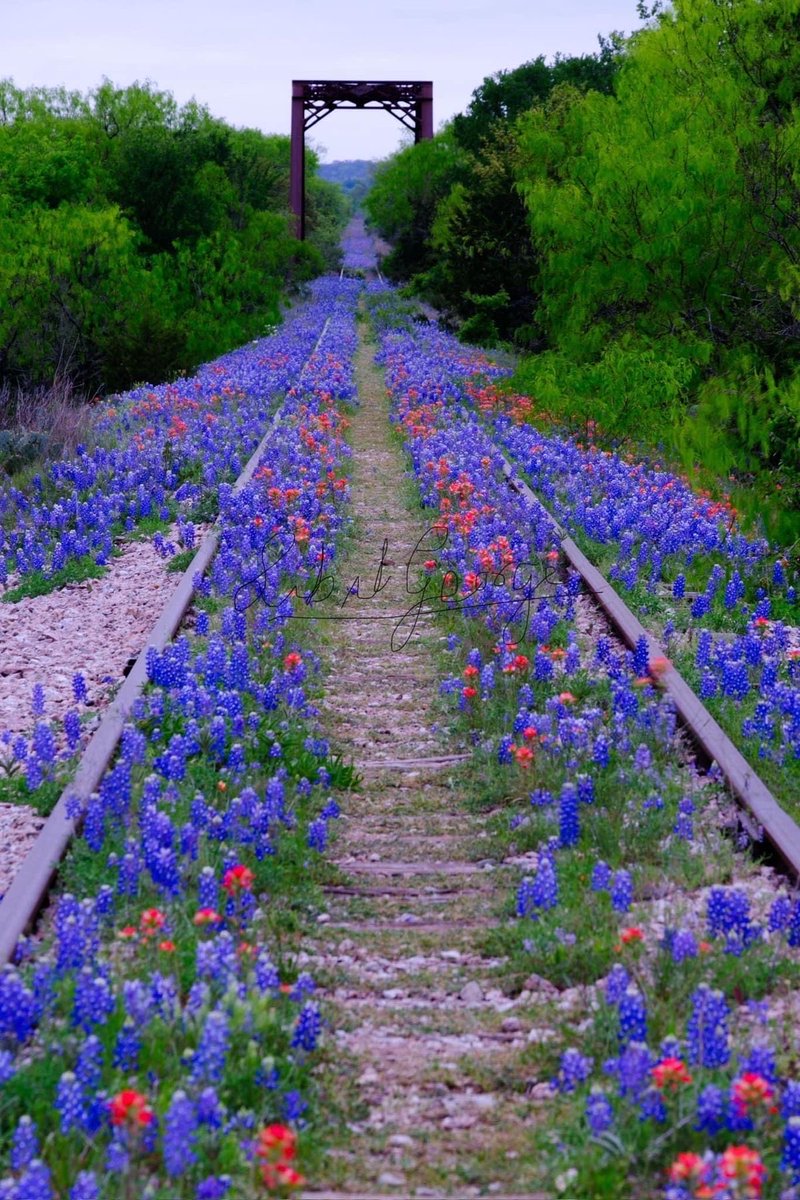 M.Daysi (@mari_daysi) on Twitter photo 