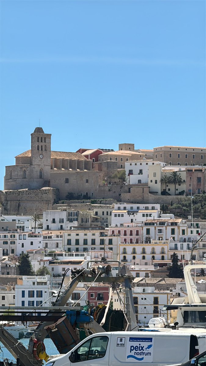 Lee Bandoni tweet media