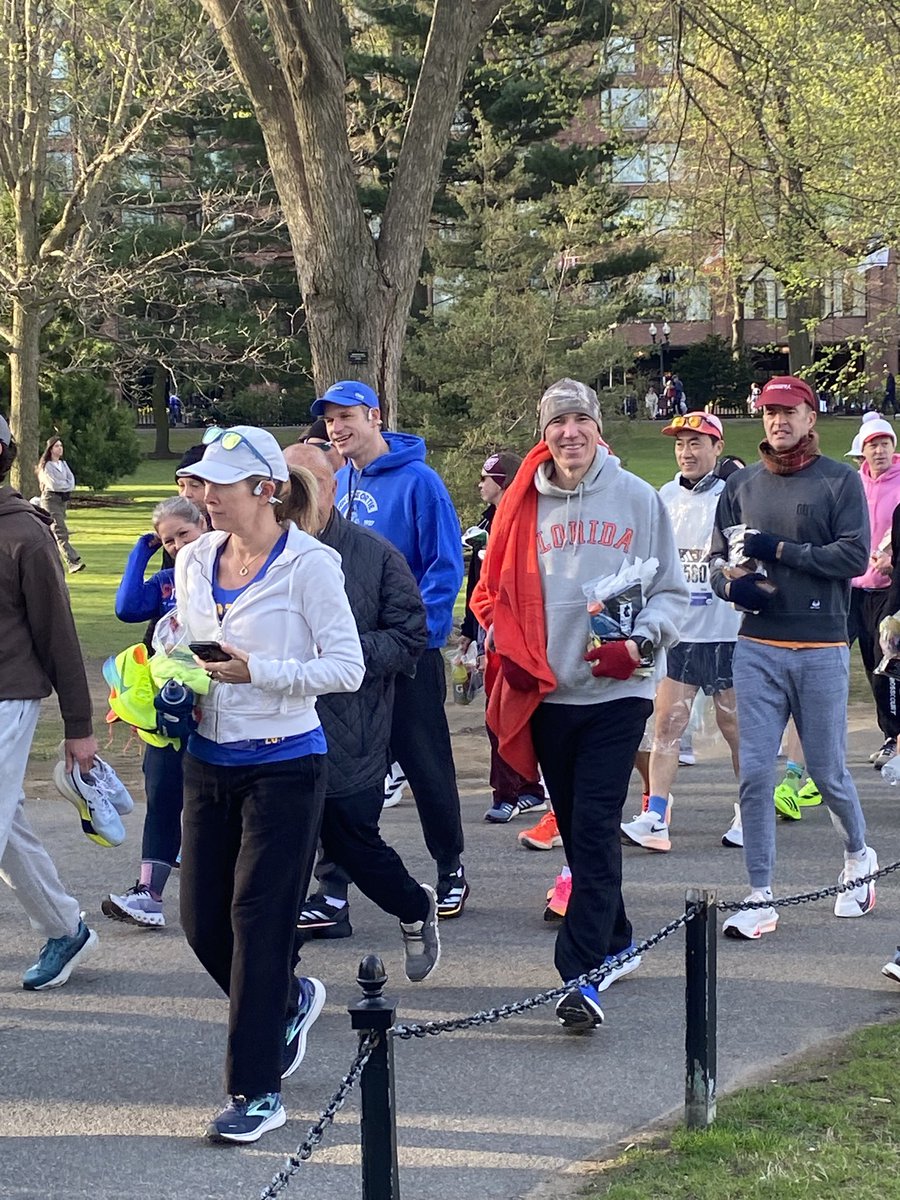 meredith webb tweet media