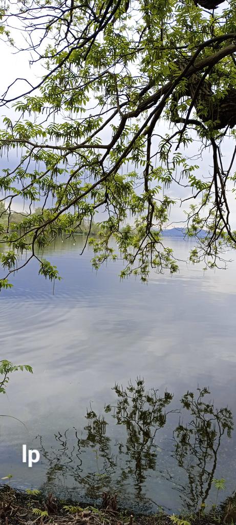 Melancholy day 😔🩶