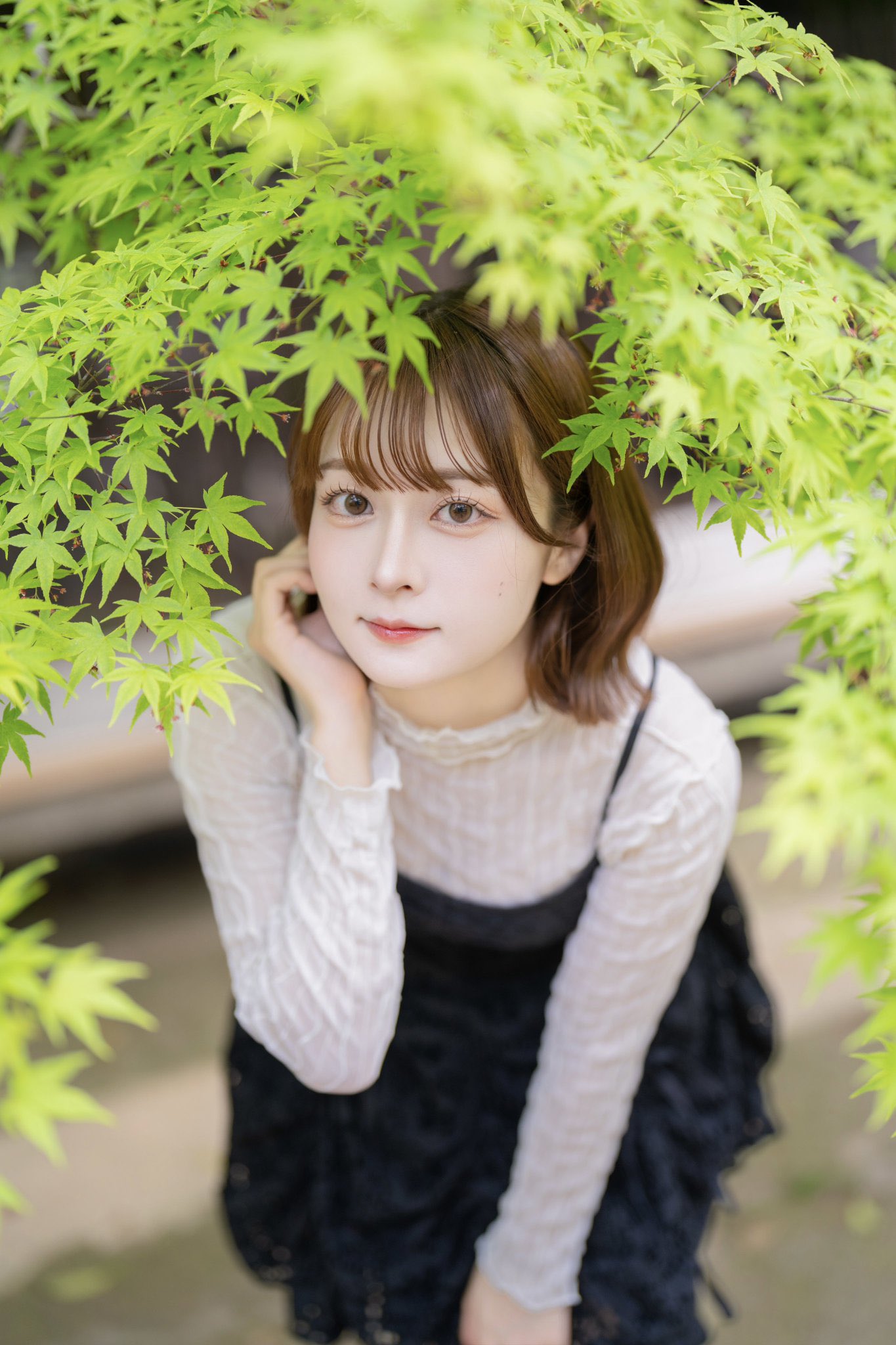はるか (@ha_chan_1217) / X はるか (@ha_chan_1217) / X
