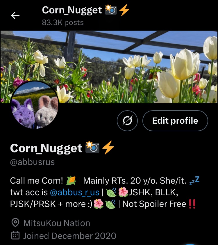 abbusrus's tweet image. Nvm, I made my mind up fast LOL! It’s still me, Corn!!! Just with a diff look :]

And fret not!! MitsuKou will always have a place on my acc &amp;lt;3