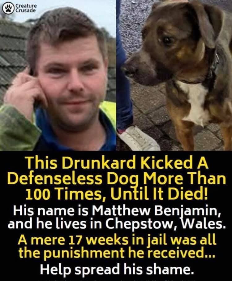 mike erwydd. 🏴🇬🇧🇮🇱✝️ tweet media