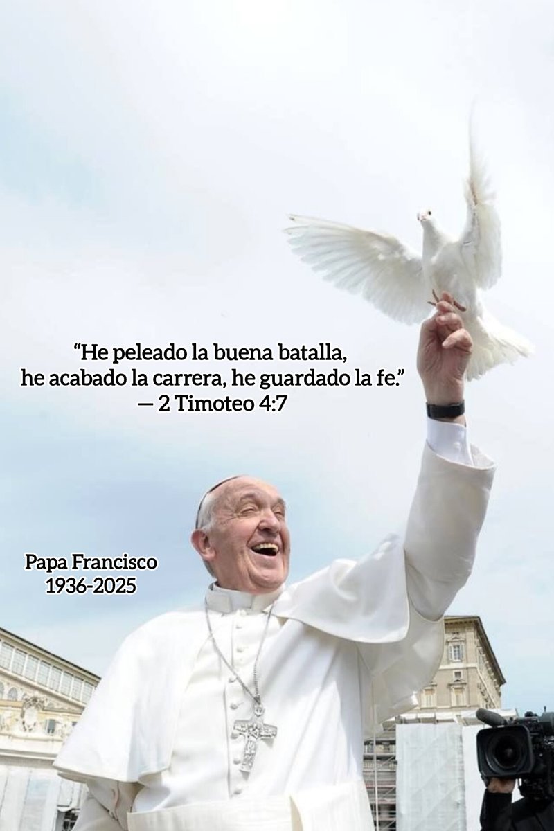 tuvozrd.com tweet media