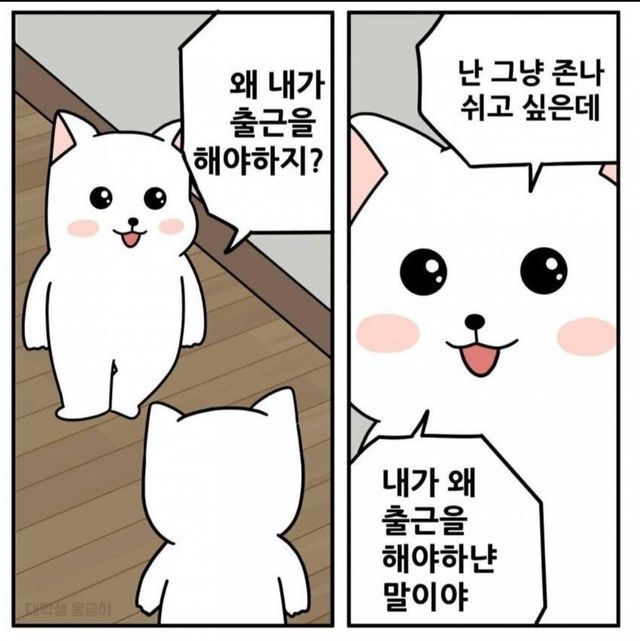 짤주워오는계정 (@wkfxjfrp) on Twitter photo 