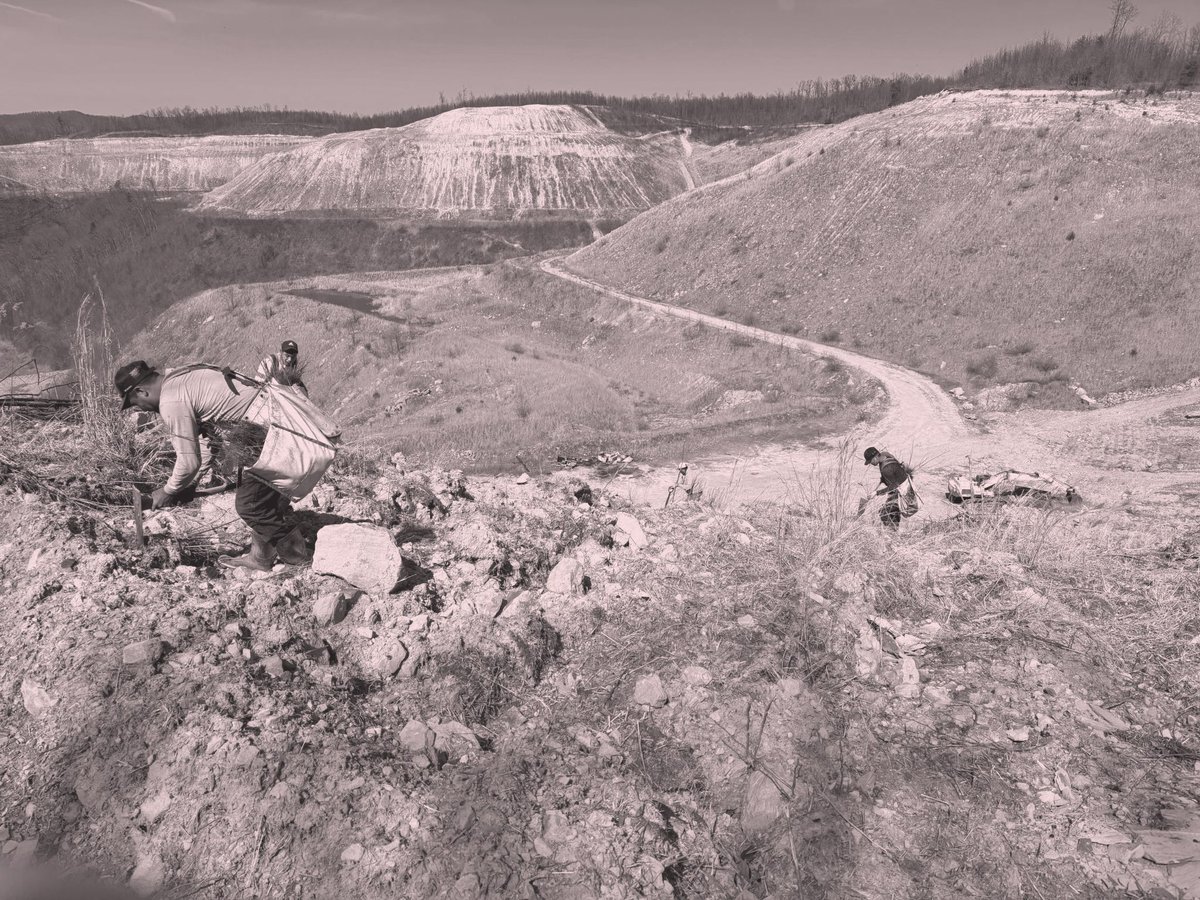 <a href="/living_carbon/">Living Carbon</a> has selected Isometric as the registry for a landmark 1.4 million-tonne reforestation offtake agreement with <a href="/Microsoft/">Microsoft</a>.