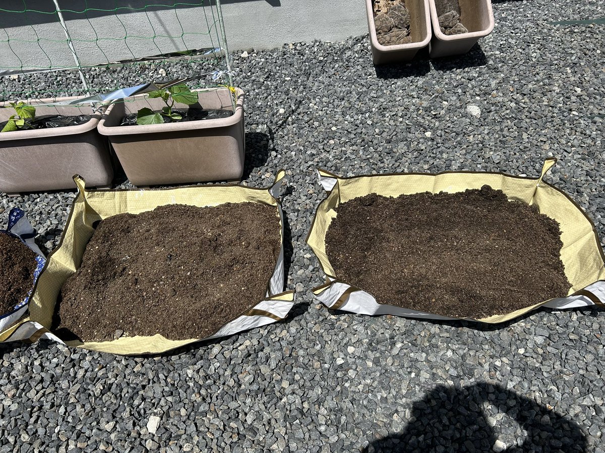 しずく🧡🌵@たにらー tweet media