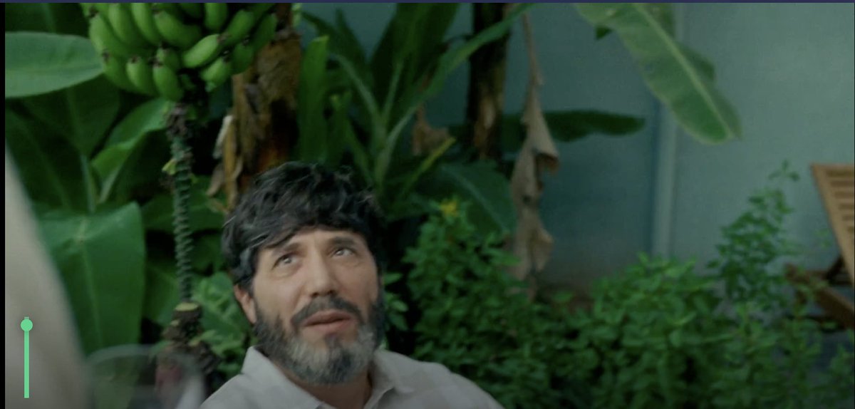 Dr. Banana (Ph.D) 🍌 tweet media