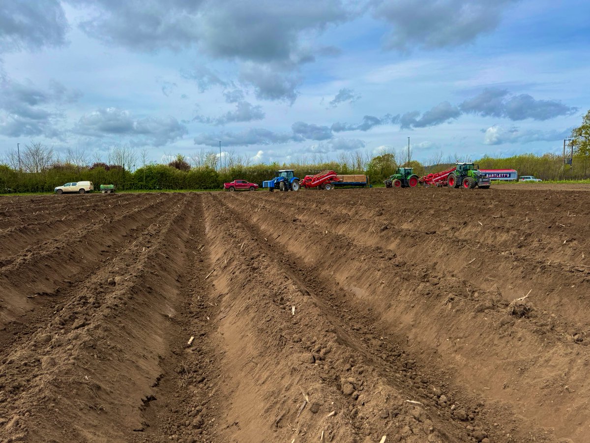 Jason Brain (@jasonbrain7) on Twitter photo We started our seed ๐ฅ๐ฑ planting campaign on Monday. Conditions๐with soil temps nudging into double figures โ๏ธ
First up our <a href="/HzpcUk/">HZPC UK๐ฅ</a> <a href="/supersagitta/">@SuperSagitta</a> ๐ We started our seed ๐ฅ๐ฑ planting campaign on Monday. Conditions๐with soil temps nudging into double figures โ๏ธ
First up our <a href="/HzpcUk/">HZPC UK๐ฅ</a> <a href="/supersagitta/">@SuperSagitta</a> ๐