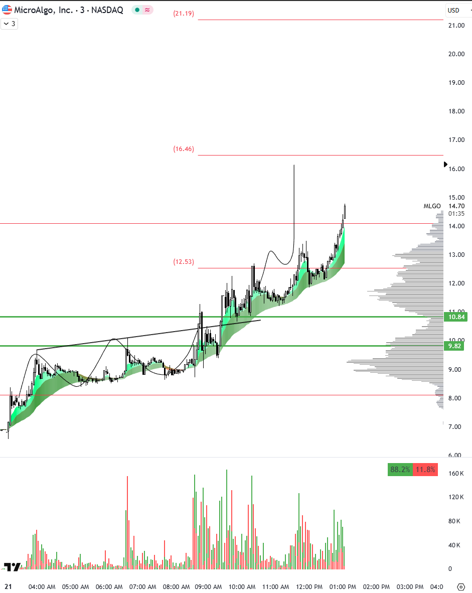$MLGO beautifulllllll

gang caught near 11, now over 14 targeting 16.5, 21+