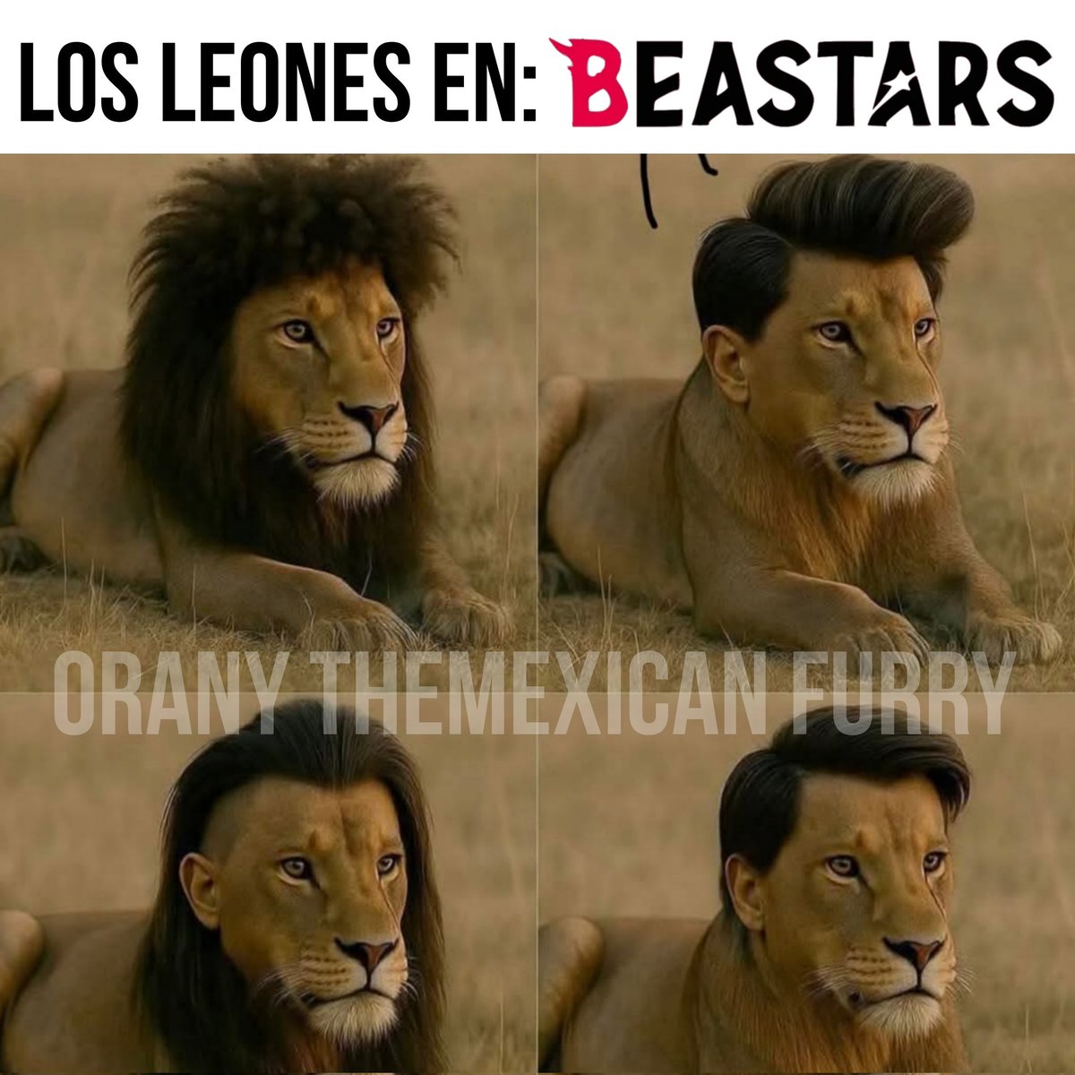 OranyTheMexicanFurry (@oranythefurry) on Twitter photo 