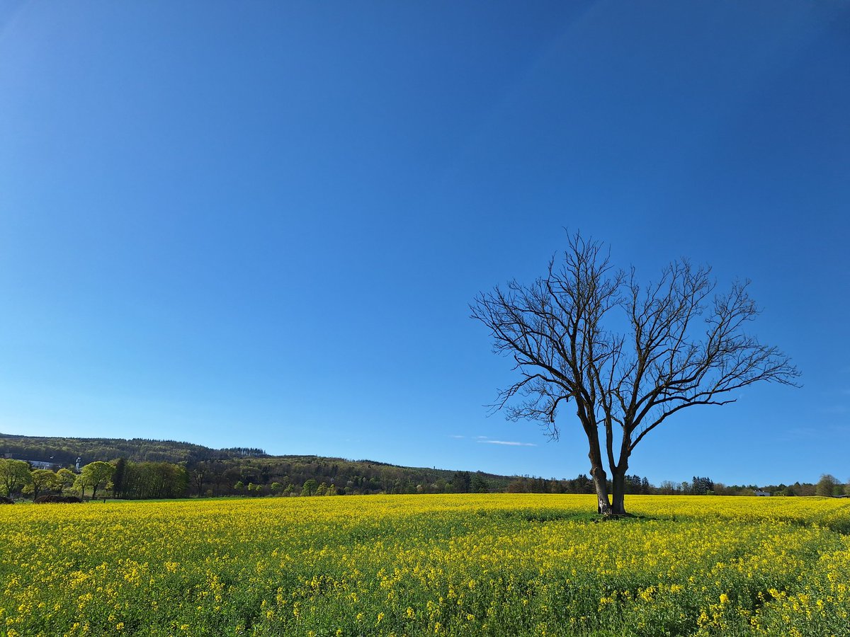 Innovative Ideen 💡 lassen die Natur erwachen 
Wir wünschen noch einen schönen Abend, sowie einen stressfreien Start in die kommende Woche. 
Grüße aus Warstein/Sauerland 🌲🌳
<a href="/hubertrisse/">hubert</a> 
e-mobil...the Power of Nature 
<a href="/TheThinkTankOn1/">The Think TankOn1</a> 
Bi-Ba-Bo1 &gt;&lt;Know 
Whisper  📣 🌐 🪄 
👍🏼💡