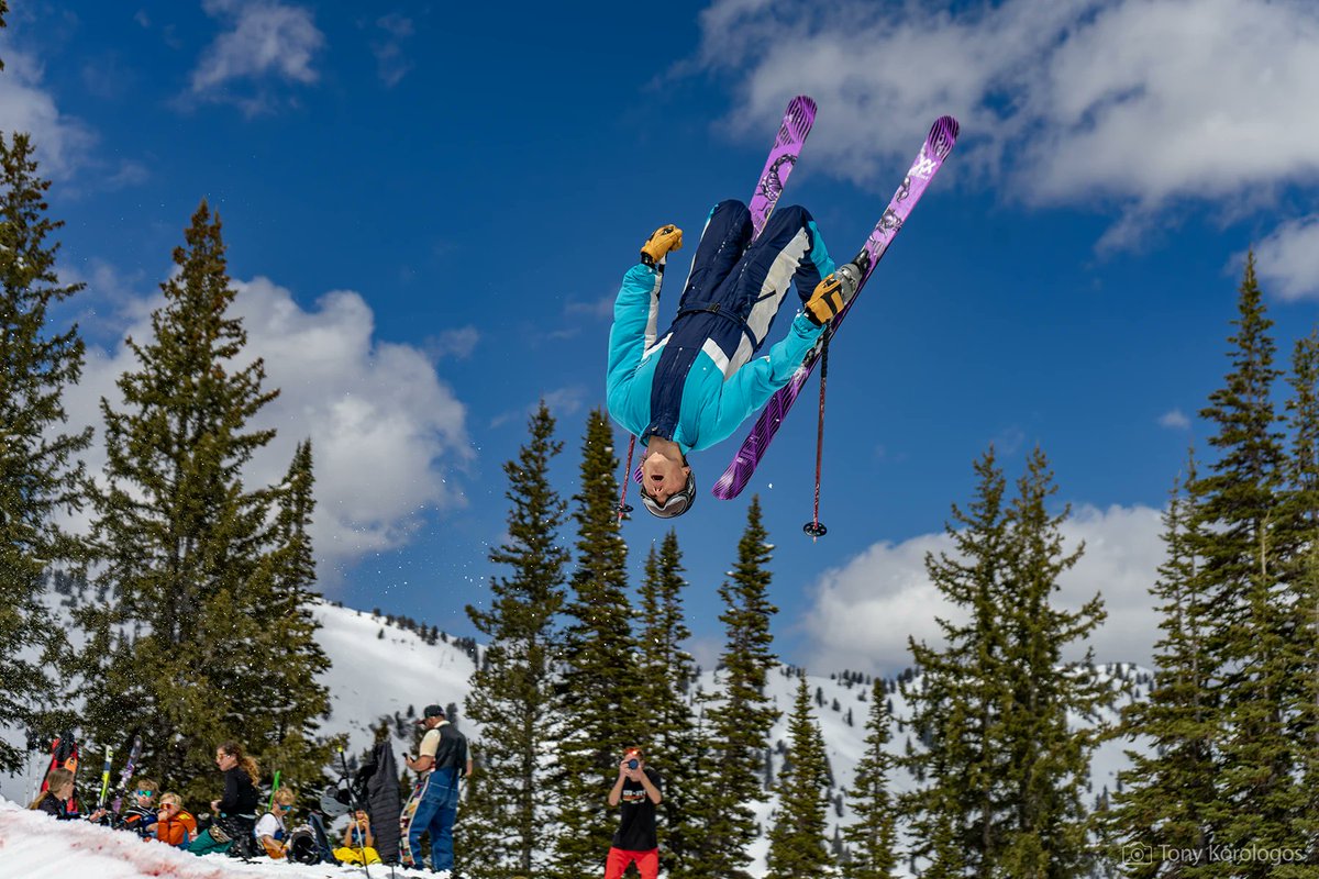 Tony Korologos tweet media