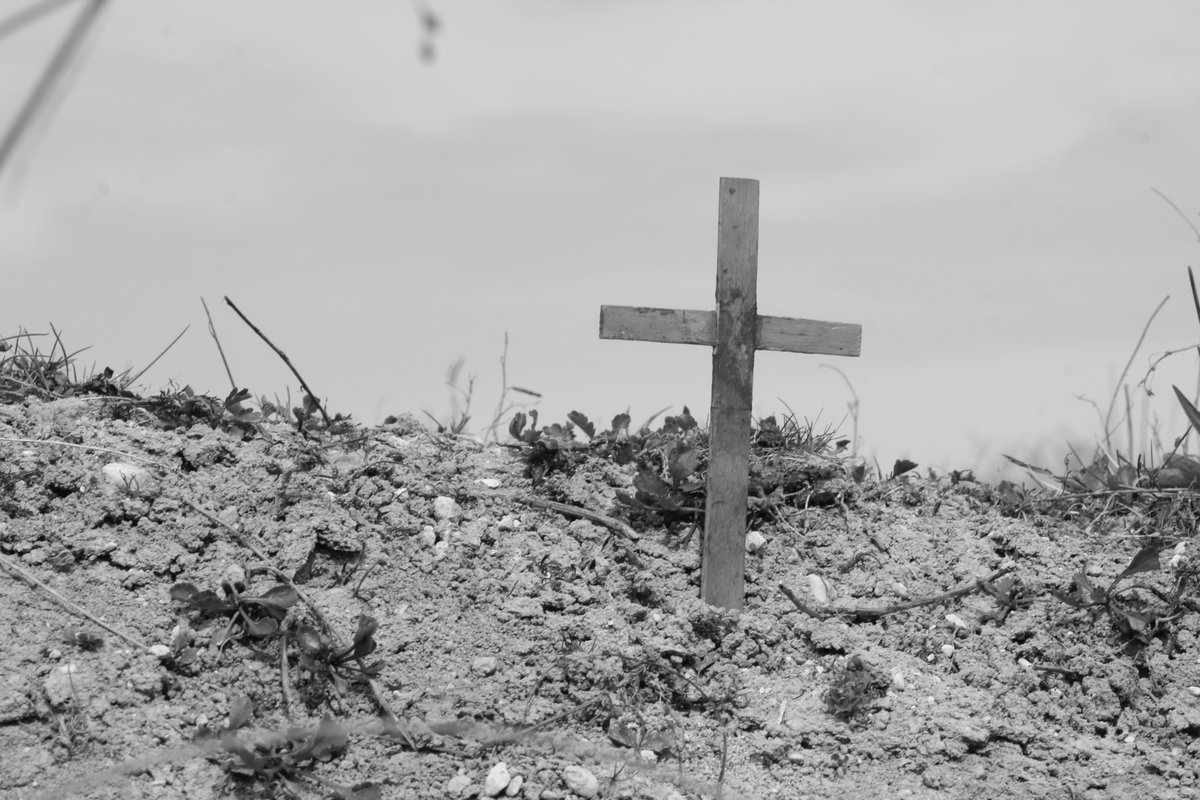 Mangapps Railway Museum tweet media