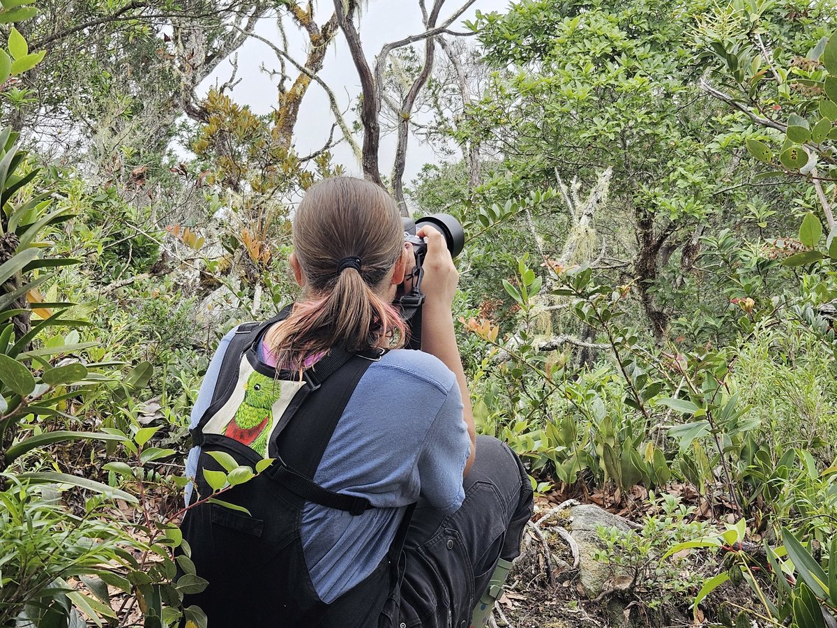 Hannah Pryor (@snowbirder26) on Twitter photo Figuring out this photography thing so I can get cool bird photos for presentations and stuff ♡
Thanks <a href="/PatrickGritton/">Patrick Gritton</a> for the photo! Figuring out this photography thing so I can get cool bird photos for presentations and stuff ♡
Thanks <a href="/PatrickGritton/">Patrick Gritton</a> for the photo!