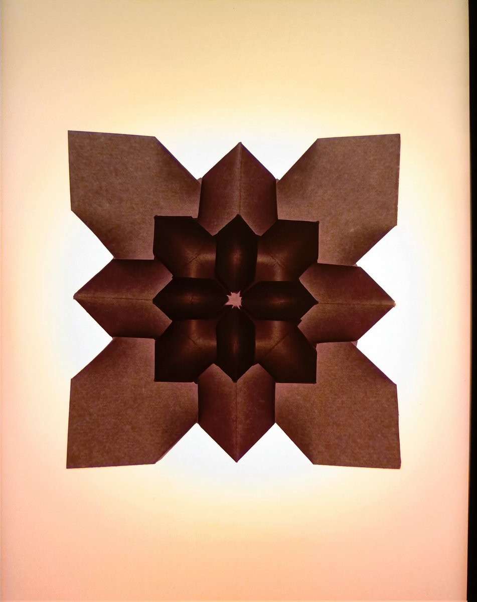 0105kartikeya's tweet image. Origami hydrangea 
Restarting this journey with a geometric bloom precision, symmetry, and a little backlight magic.
More origami, more design, more Kartikeya.
Follow @ kartikeya.design on instagram 
#OrigamiArt #PaperDesign #KartikeyaDesign #GeometricArt #DesignComeback