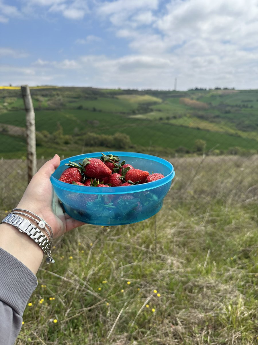 Beyimle piknik dateden ❤️