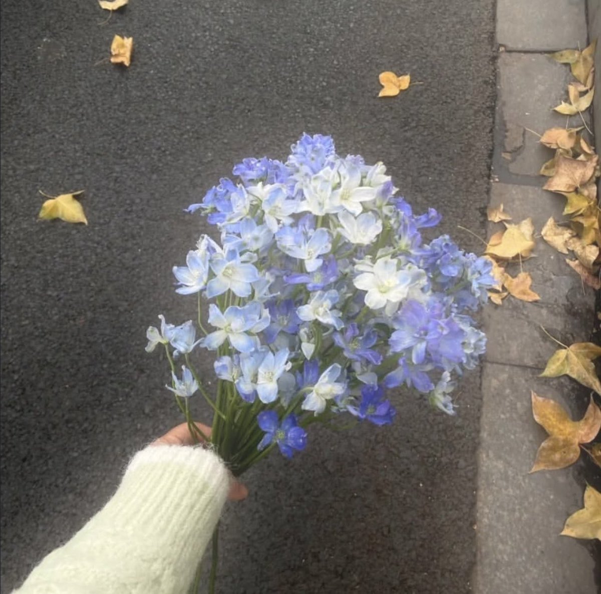 inreuo's tweet photo. https://t.co/6pu5UehHbI