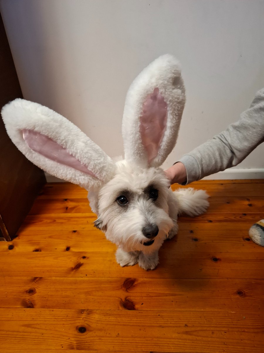 Hyvää pääsiäistä!