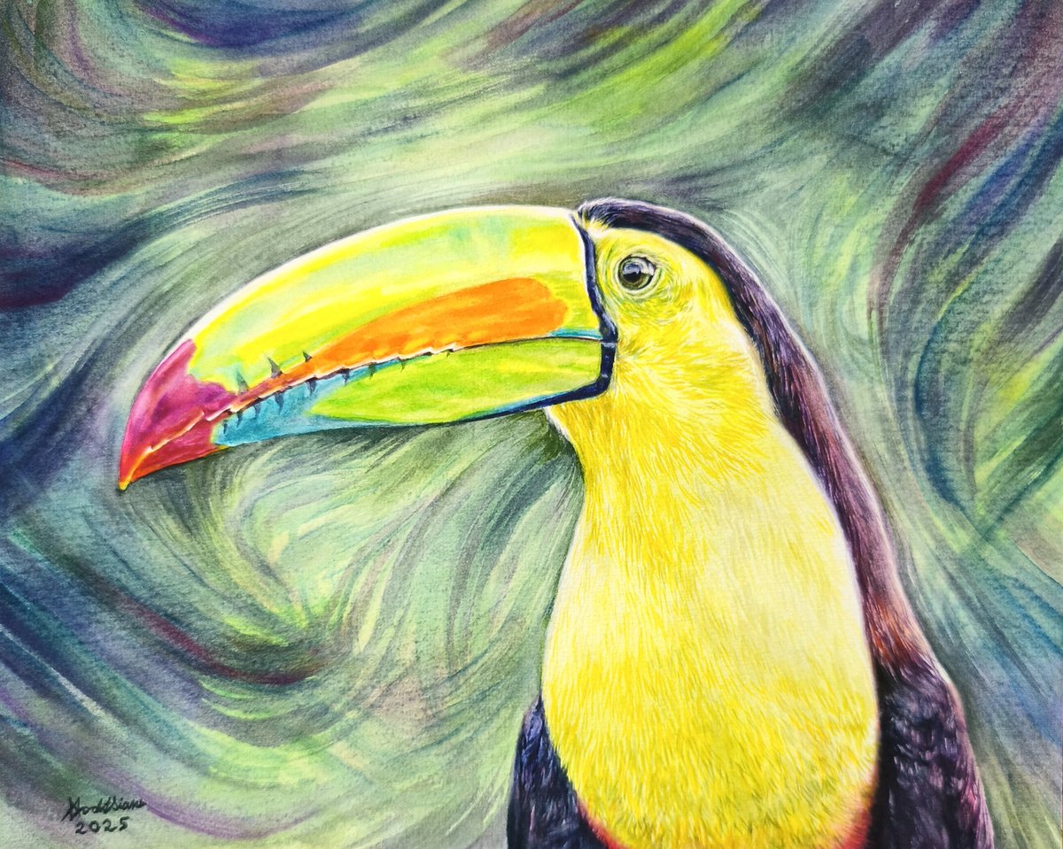 🖌️🎨🖼️ 🦜Rainbow Toucan " Freehand Watercolor Painting 2025
#art #artwork #painting #watercolor #watercolorpainting #drawing #sketching #artist