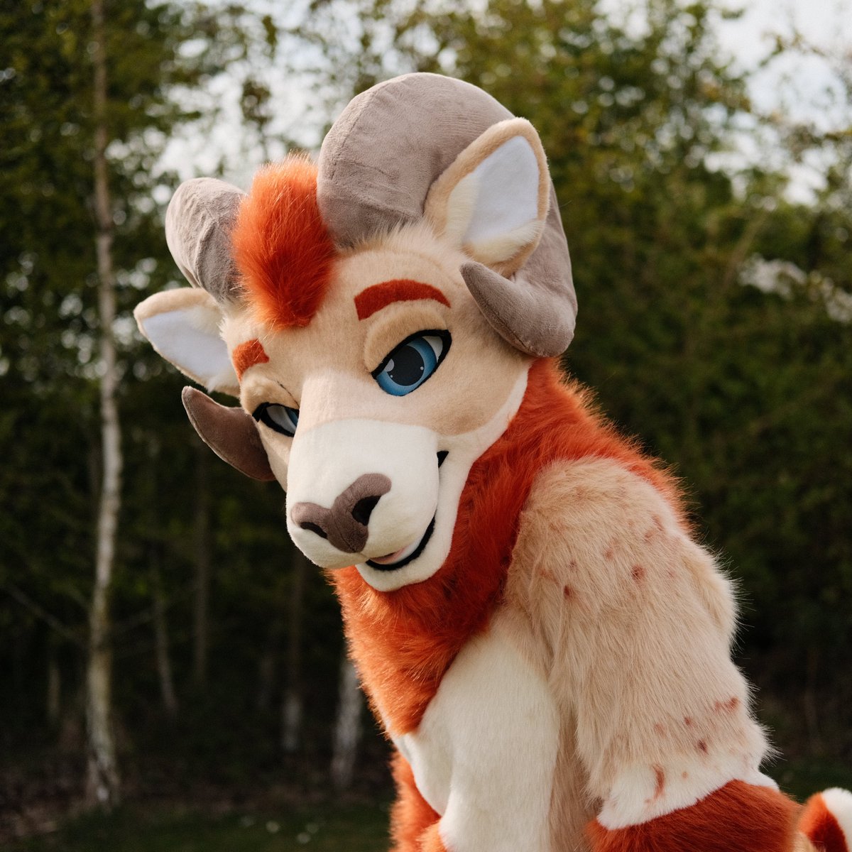 Can't blame him showing off, he is handsome! Some pretty shots of Faar 🐏

📸- @DarkModeTiger  &amp; <a href="/King_Buckbutt/">Axel Tyler</a>
