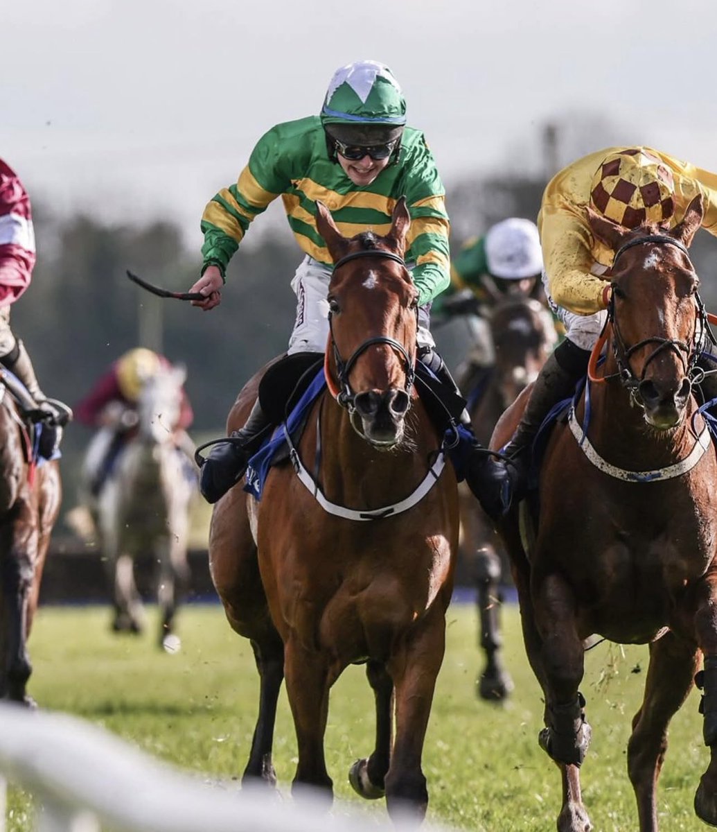 🎉 Victory at Fairyhouse! 🏆
 
Battle It Out got the job done in style at Fairyhouse today.
A tough, professional performance and a well-deserved win.
Thanks to everyone behind the scenes for making it happen. 👏🏽🍾🐎

#BattleItOut #FairyhouseNationalDay #TeamODwyer