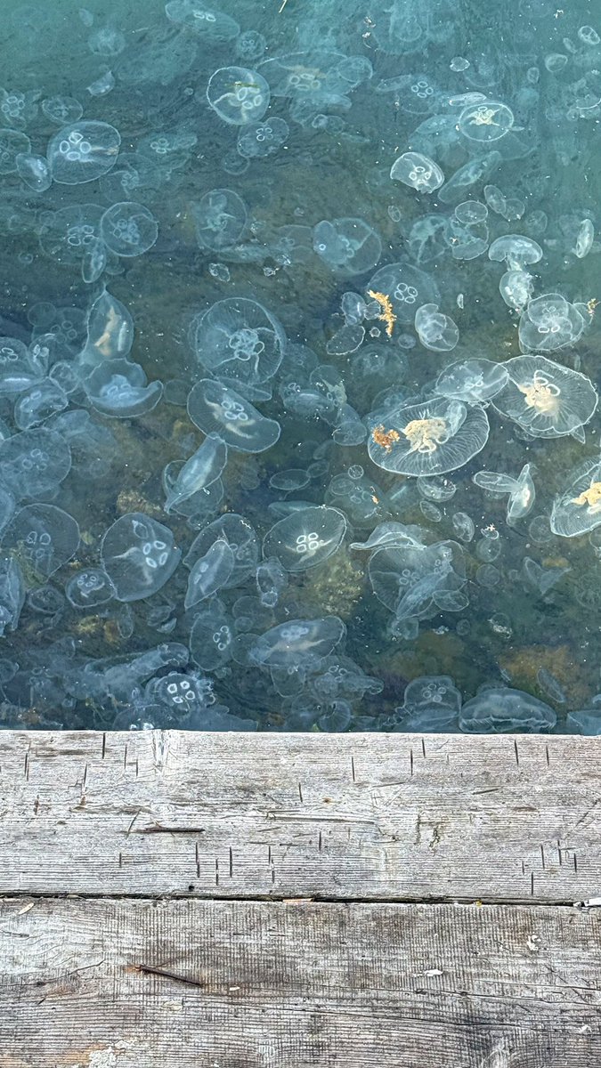 Bugün kamerama yansıyan hayattan görüntüler 🤍