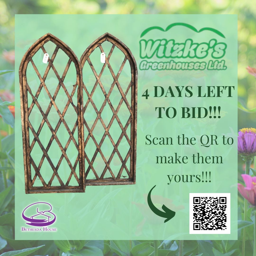 🌿 A massive THANK YOU to @witzkesgreenhouses for the wonderful donation of these gorgeous home and garden décor windows! 
⏳ Only 4 days left to bid
🎯 Start bidding now: loom.ly/RA0Msz8
#OnlineAuction #SupportSurvivors #HomeAndGardenGoals #ThankYouWitzkes