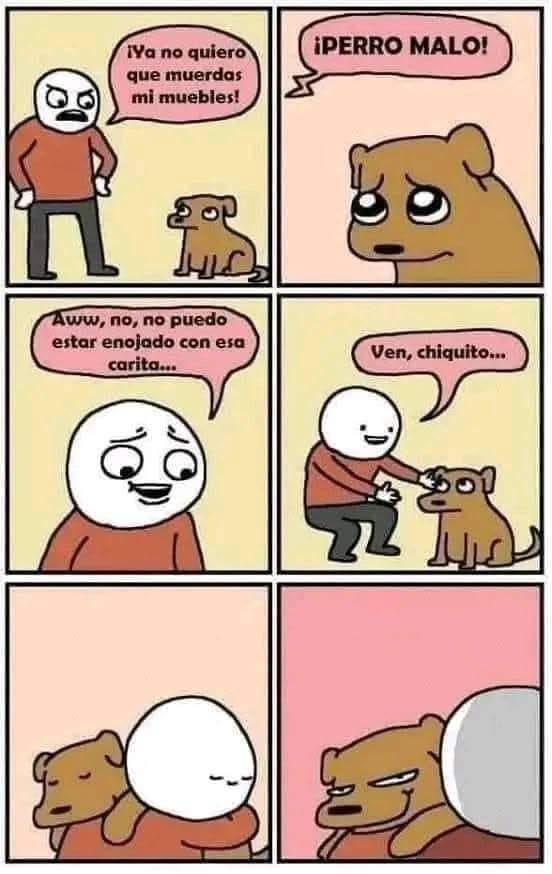 DiloConPerritos's tweet photo. 😏 https://t.co/ukAuyPHrHG