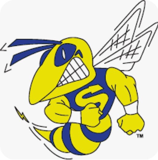 Prep Baseball Michigan Scouting Coverage tweet media