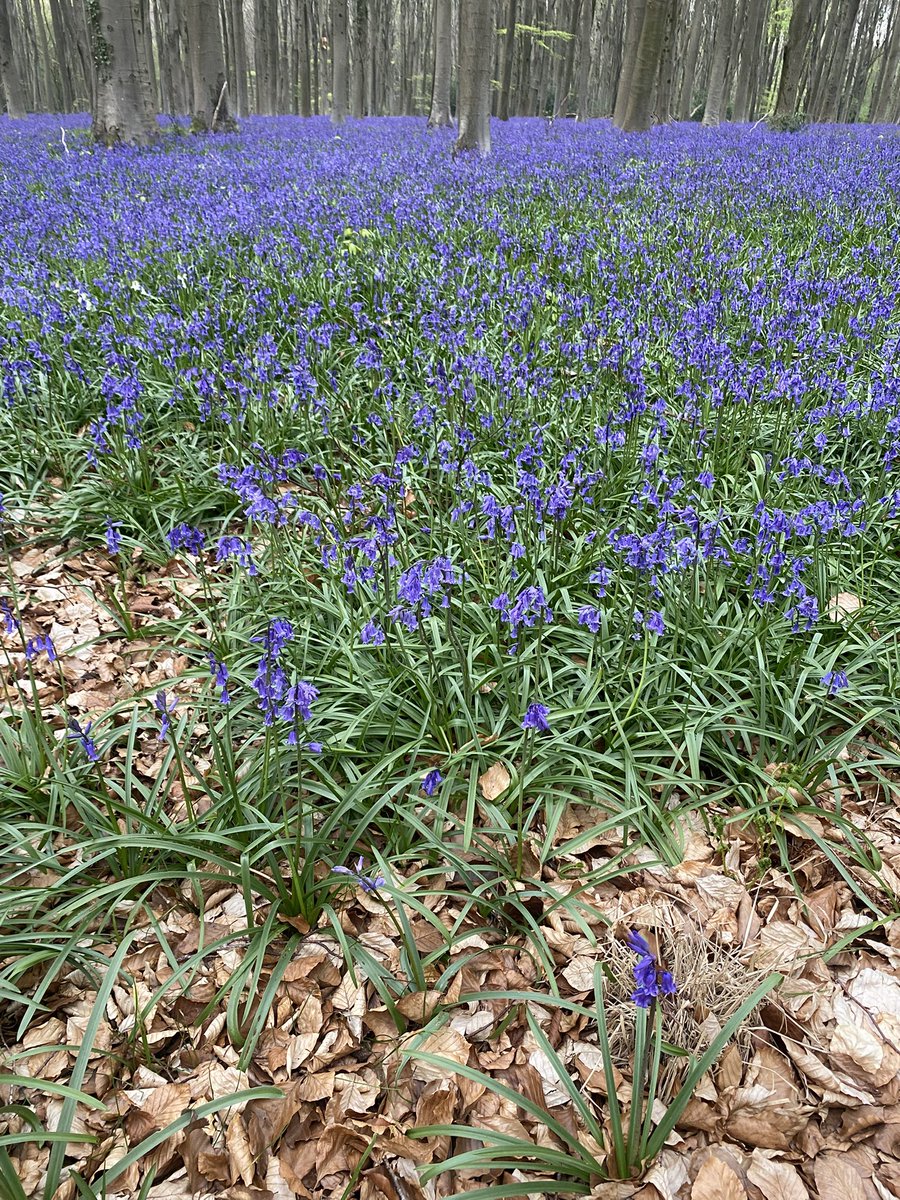 So pretty even if it was raining