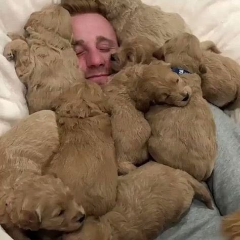 💖 (@twaniimals) on Twitter photo 