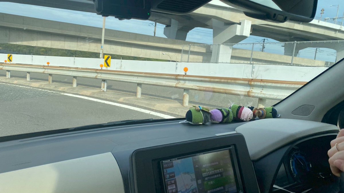 海はもちろんなんだけど、こんな大きな橋を渡ったのが初めてだったので、運転しながら大興奮でした！！！
〜カーブで遠心力に負ける無力なもちを添えて〜
※写真は助手席のらびさん